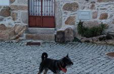 Mourisco Guest House - Foto 1