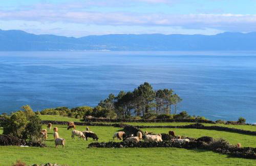 Pike Cliffs I - Photo 3