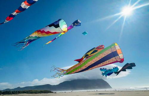 Seas The Day - Foto 32