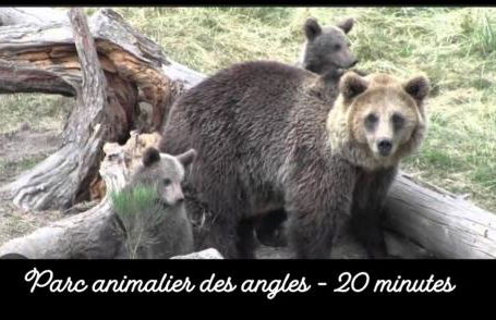 Appartement de vacances en cerdagne - Foto 22