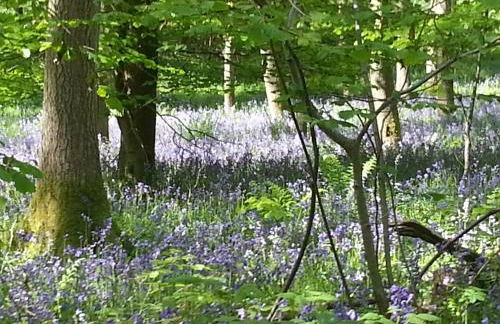 The Clock Tower & Dairy - Two x 2 Bed Barns with Indoor Pool - Photo 28