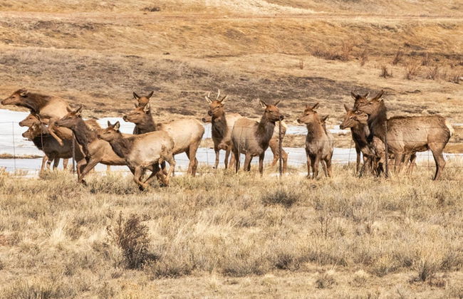 Perch Point- Hikers Dream Cabin Base - Photo 30