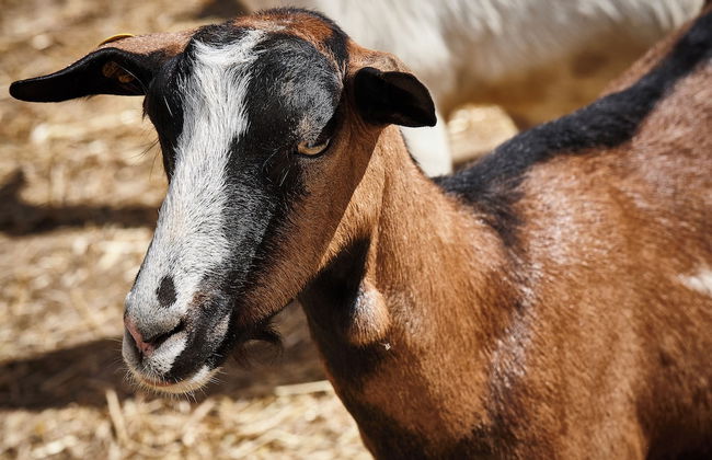 agriturismo i moresani - Photo 67