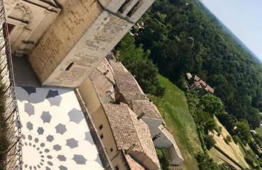 L’Olivier - Foto 34