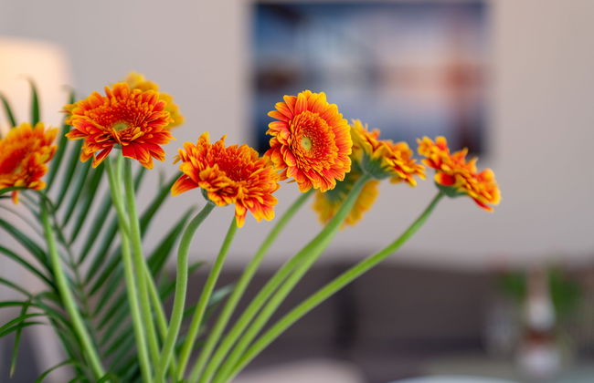 Stolzenfels - Foto 5