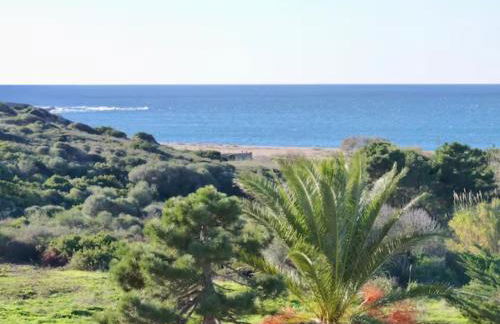 Studio 33m² vue mer - Foto 2