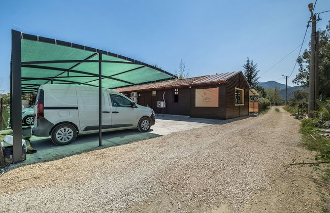 La Maison Hotel Çıralı - Foto 44