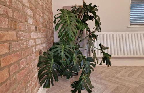 Southbarn - Spectacular Country Home - Foto 19