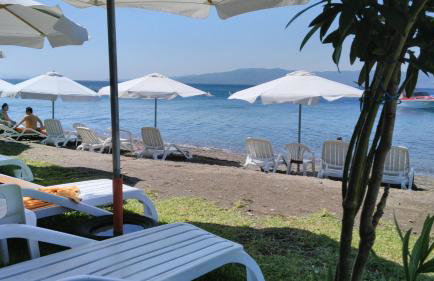 Posidonia Pension - Photo 56