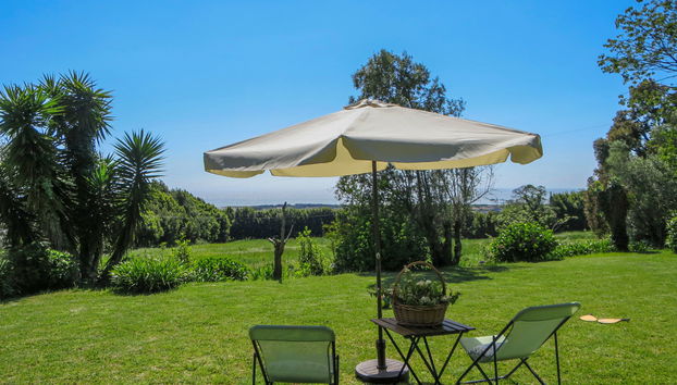 Casa da Quinta de Pedral - Foto 5, Terrace