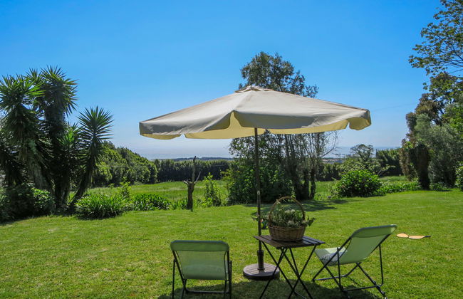 Casa da Quinta de Pedral - Photo 32