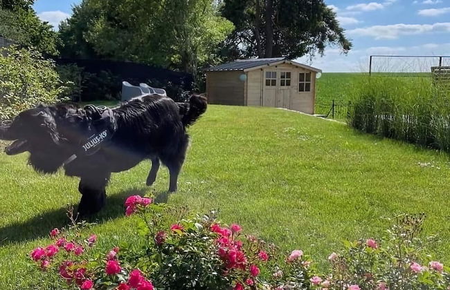 Peaceful Garden Home in Modave - Foto 22