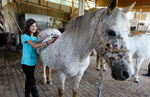 Nengshof - Haus Königskerze - Foto 12