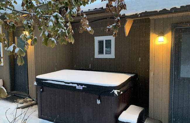 Barefoot Villas Cabin 2 Moose w/ Hot Tub - Photo 49