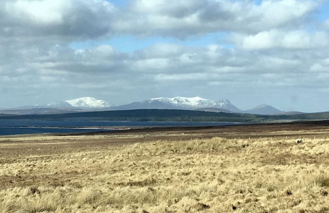 Garvault House - Photo 14