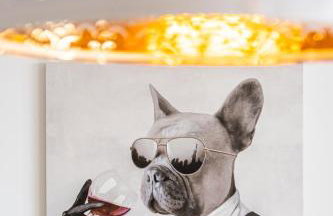 Flexible SelfCheckIns 32 - Zagreb - Garage - Electric vehicle ccharger - Big Loggia - New - Apartments Repinc 32 - Foto 9