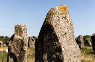 La Vedette - Les Gîtes de KEROUZEC - Mer et centre historique - Foto 32