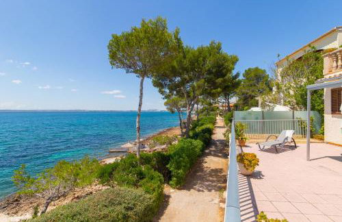 Far alcanada - Foto 68