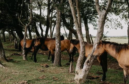 Haven Hideaway Beautiful Lymington Studio Apartment with Garden near The New Forest - Foto 24