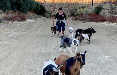 Ojai Wilderness Off-The-Grid Sespe House - Foto 19