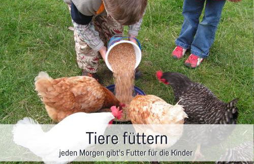 Bio Ferienhof Wichtelweide - Fewo Lavendel - Foto 21