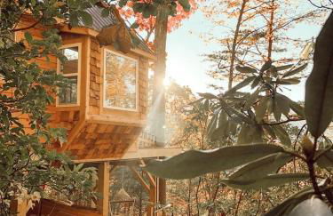 Stunning Pet-Friendly Treehouse for Relaxing Glamping Retreats in North Carolina - Foto 32