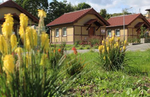 Marina Santok - Foto 1