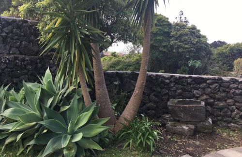 Quinta do Norte - Biscoitos - Photo 26