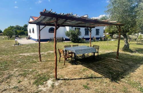 Monte Velho - Country House - Foto 19