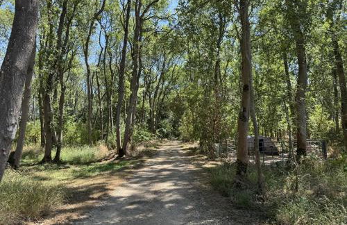 Cosy Cotswolds Cottage Farm Stay - Shepherds Rest - Photo 52