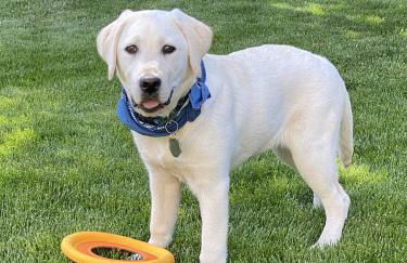 Bluebird Day - Canyon Retreat - Foto 6