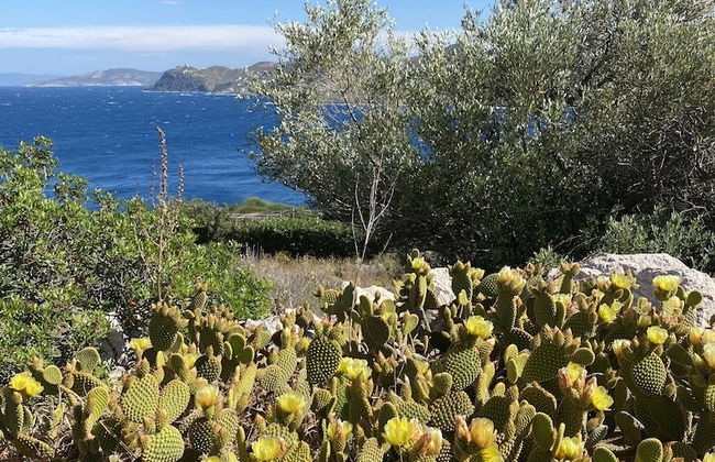 Charming Chateau BY THE SEA - Photo 15