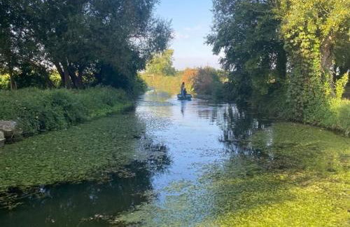 Gîte de charme au bord de l'eau, à 30min du Mans, cadre paisible avec pêche et randonnées à proximité - FR-1-410-414 - Foto 11