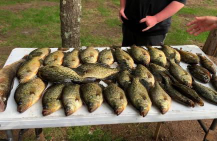 Rustic Willow Retreat - Outdoor Adventures cabin - Foto 10