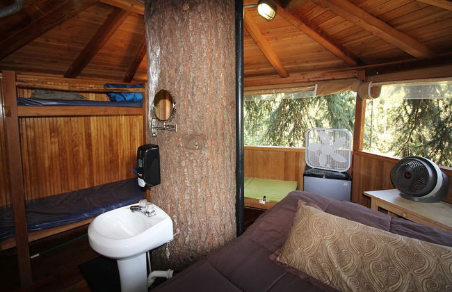 Out 'N' About Treehouse Treesort - Foto 20