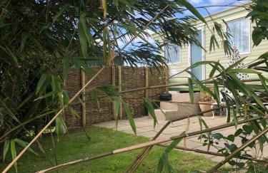 Swallows Return - Foto 2