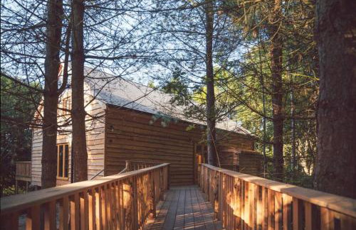 Journeyman - Photo 7