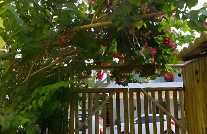 Villa Suites Gostoso - Casa e Suítes em Condomínio beira-mar - Foto 73