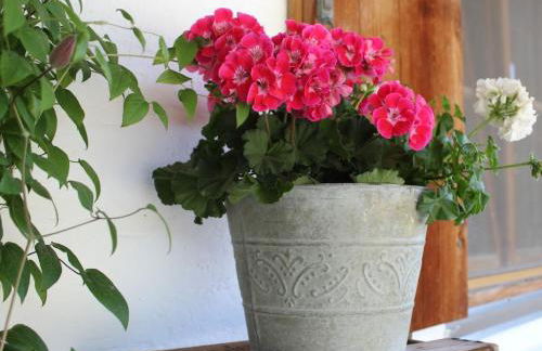 in the holiday home Vorbergblick - Foto 8