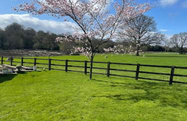 Cherry Blossom Cottage in Kettlesing - Photo 17