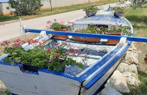 Apartments Kaić 1045 - Photo 38