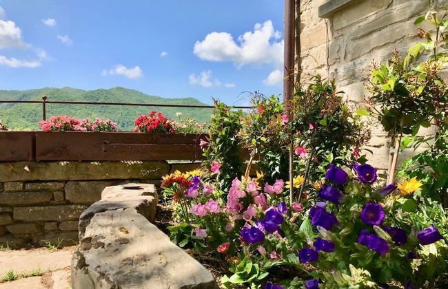 Agriturismo Castello della Pieve - Photo 36