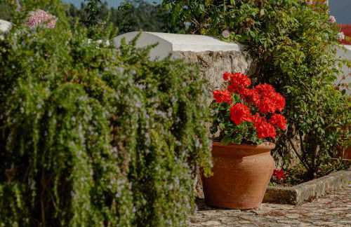 Casas da Tia Alice - Casas de campo encantadoras em Mafra - Foto 5