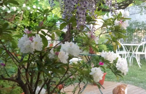 Casa Bartolacci Charme in Bivigliano (Near Mugello and Florence) - Foto 42