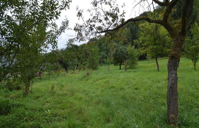 Cozy Apartment in Niederehe Eifel near Forest - Photo 33