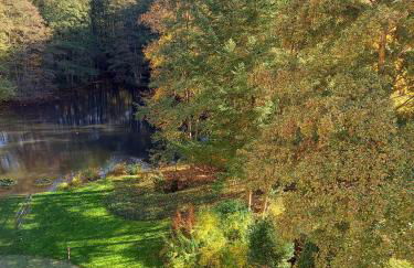 Ferienwohnung am Waldsee mit Schwimmbad - Foto 31
