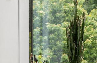 Bright Penthouse with Lift 2 BR Large Balcony Suit Family - Foto 18