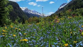 Maison Chez Les Roset - Foto 5