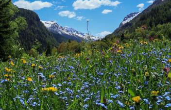 Maison Chez Les Roset - Foto 5