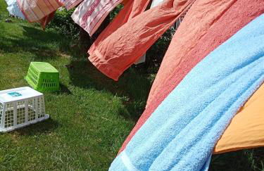 Urlaub auf dem Hänslehof - Foto 34